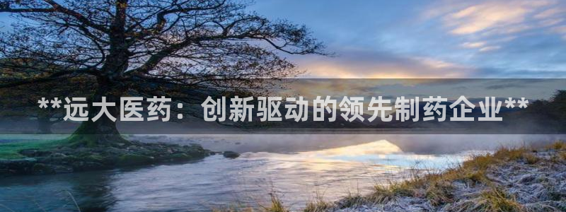 九游会ag真人官网