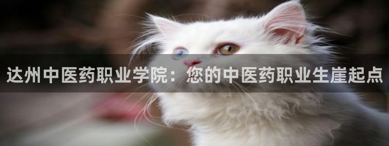 九游会网址是什么情况