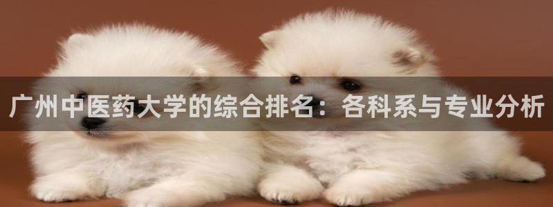 九游会官网网址：广州