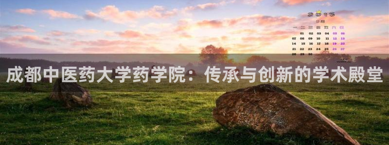 j9九游会官方网站国际