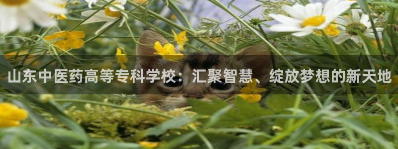 j9游会真人游戏第一品牌