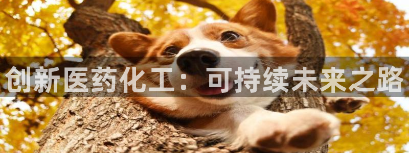 j9九游会老哥俱乐部官网