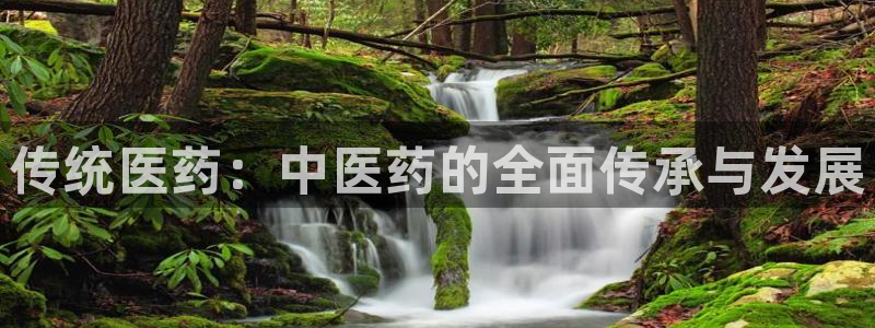 九游J9平台：传统医