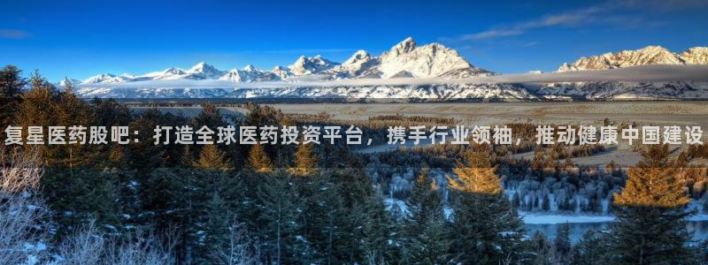 九游会是大平台吗：复