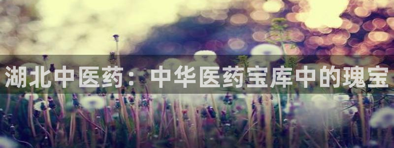 九游会网址是什么：湖