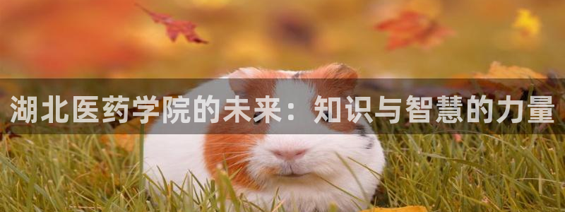 九游会AG登录：湖北